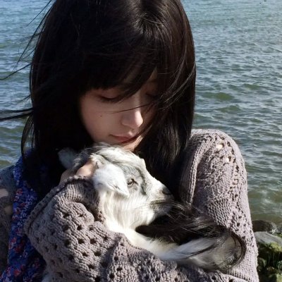 琴与罗莎